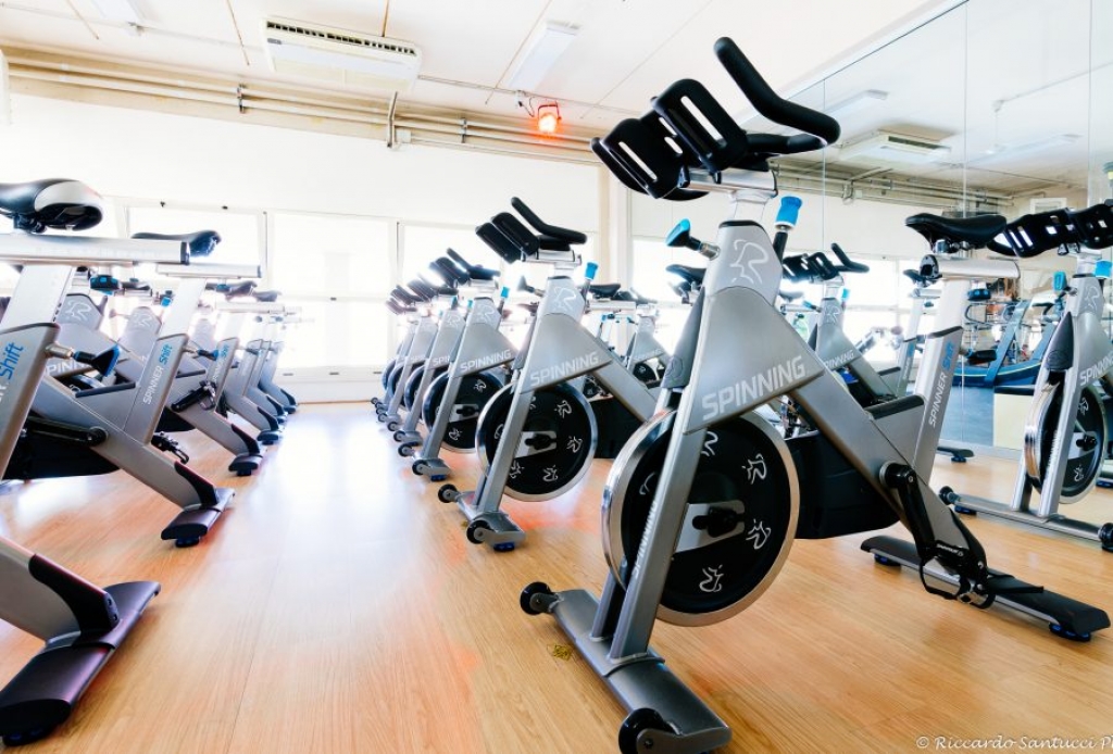 Palestra Harmony