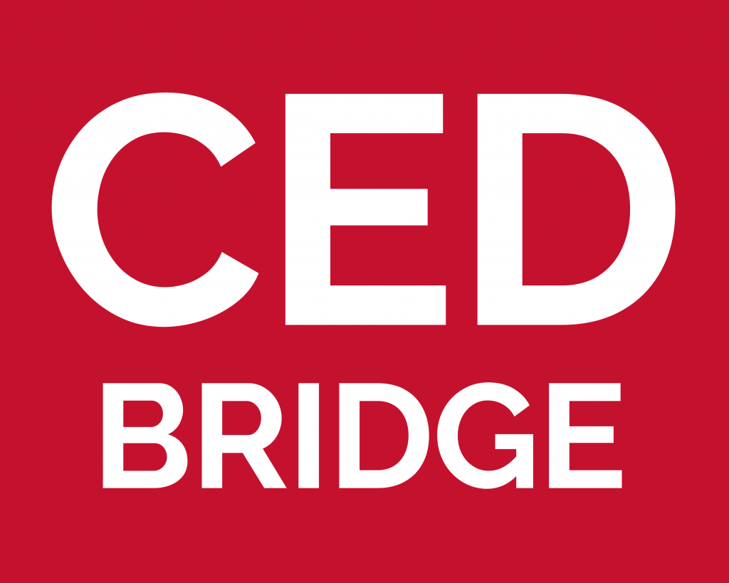 SPINNING® BRIDGE / Ricertification con rilascio di Tesserino Tecnico per operatore di specifica disciplina sportiva