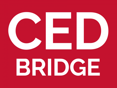 SPINNING® BRIDGE / Ricertification con rilascio di Tesserino Tecnico per operatore di specifica disciplina sportiva