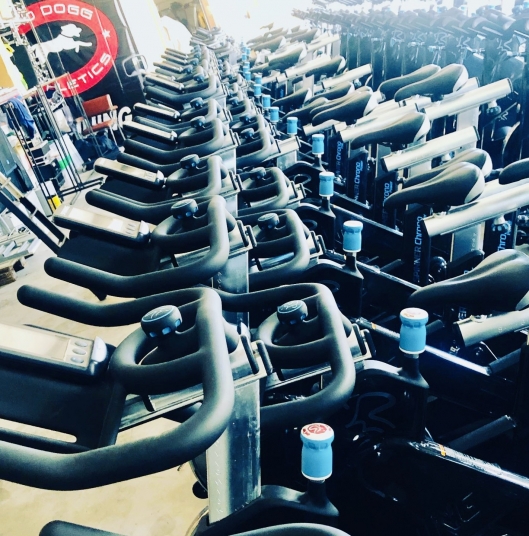 SPINNING® e SPIN Power®