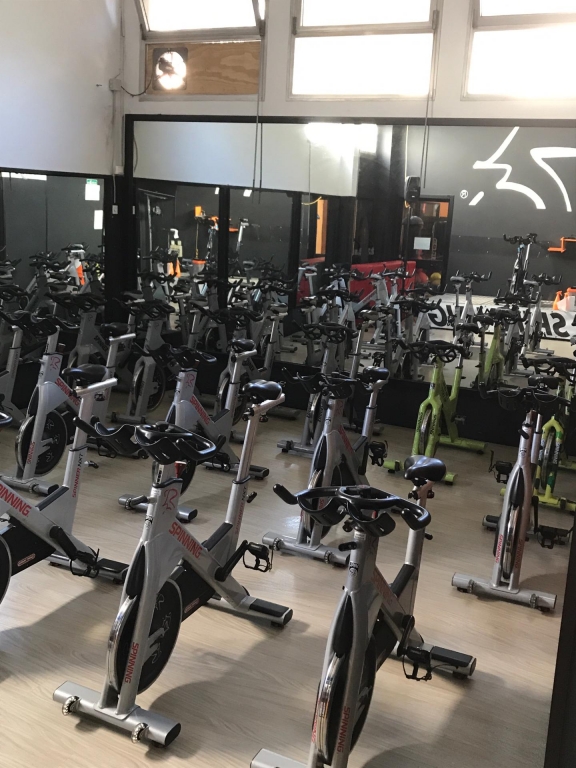WELLNESS WORLD
